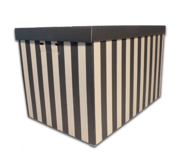 Úložná krabica s vekom 56x37x36cm 606.10, 2 kusy